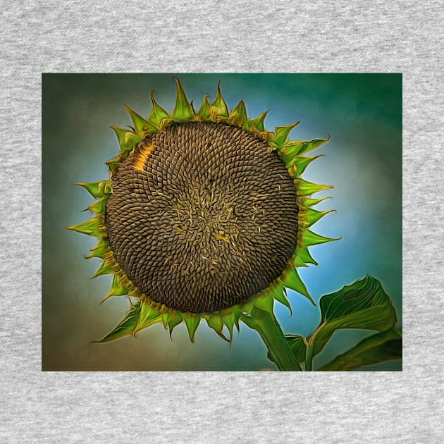 Sunflower painting artwork by Choulous79